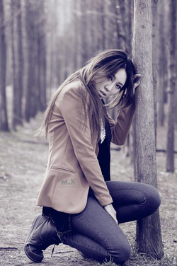 磨菇视频安装步骤示意图